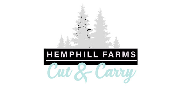 Hemphill Tree Farm Logo